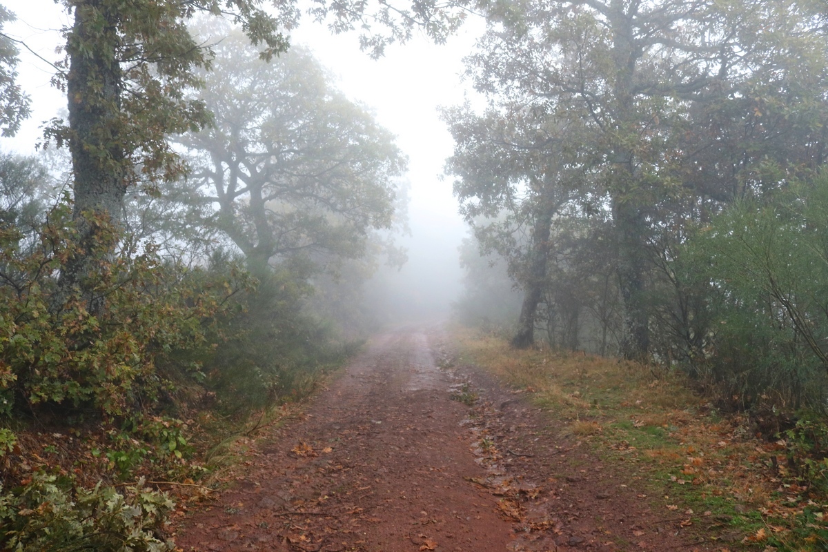 CLUB DE MONTAÑA ESPIGÜETE